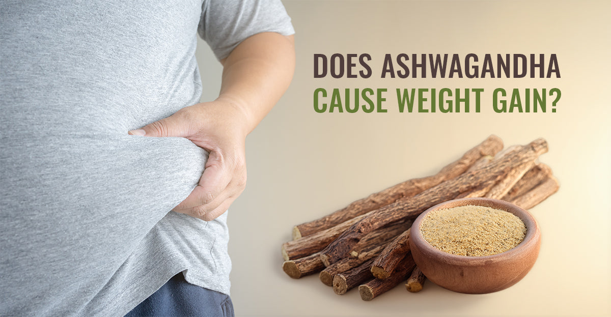 Does Ashwagandha cause weight gain?