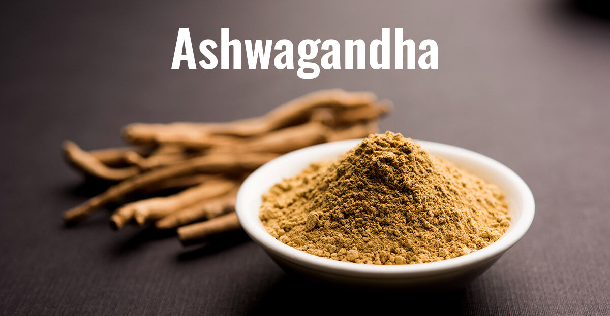 Ashwagandha Benefits