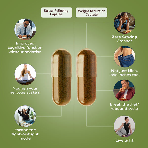Stress + Weight Management The Vital Balance