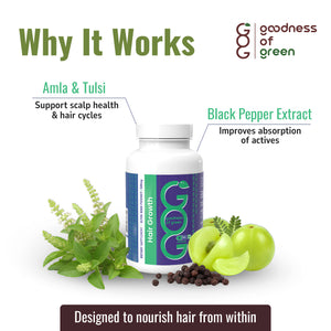 Hair Wellness Support Capsules